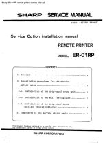 ER-01RP remote printer service.pdf